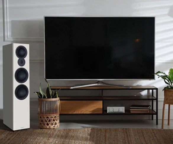 Het belang van luidspreker onderhoud